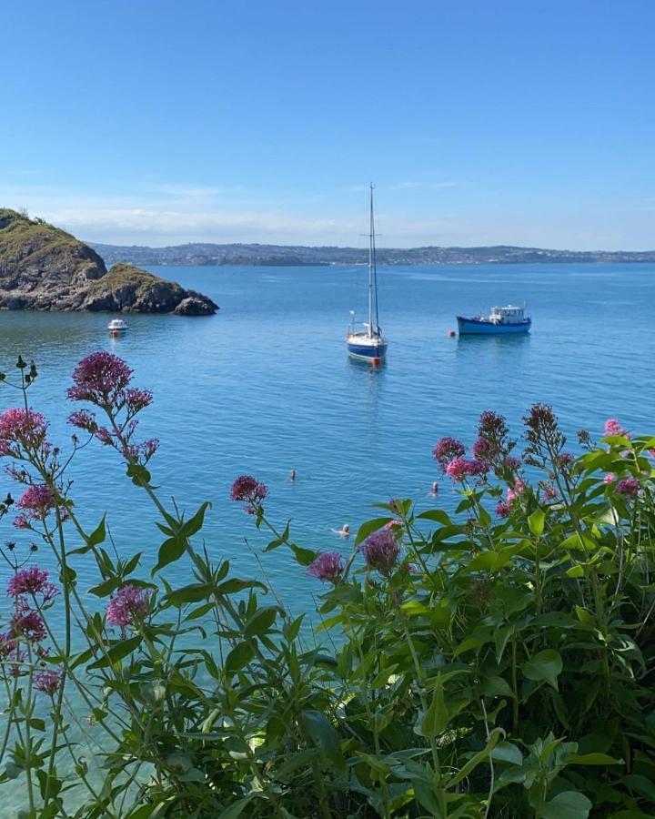 Little Trevio - Seaside Haven With Parking And Sea Views Διαμέρισμα Brixham Εξωτερικό φωτογραφία